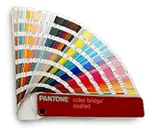 pantone swatch
